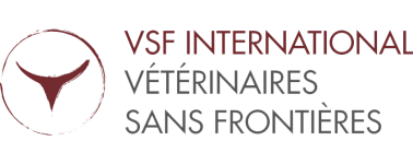 Logo de VSF International E-Learning platform